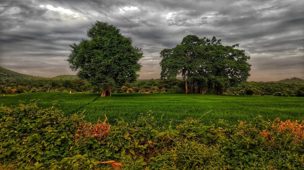 Photograph by Muralidharan E