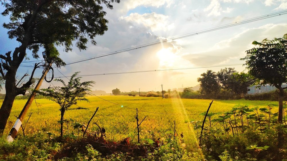 Photograph by Muralidharan E