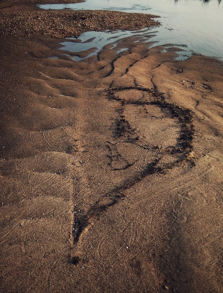 Фотография автора Arpit Dhore