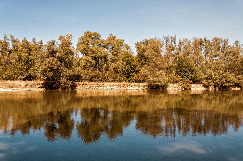 Photograph by Dumitru Bors