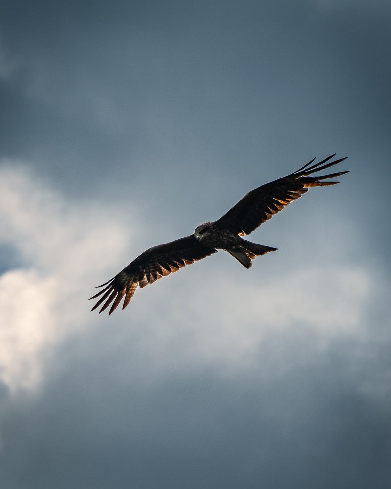 Photograph by Сергей Егоров