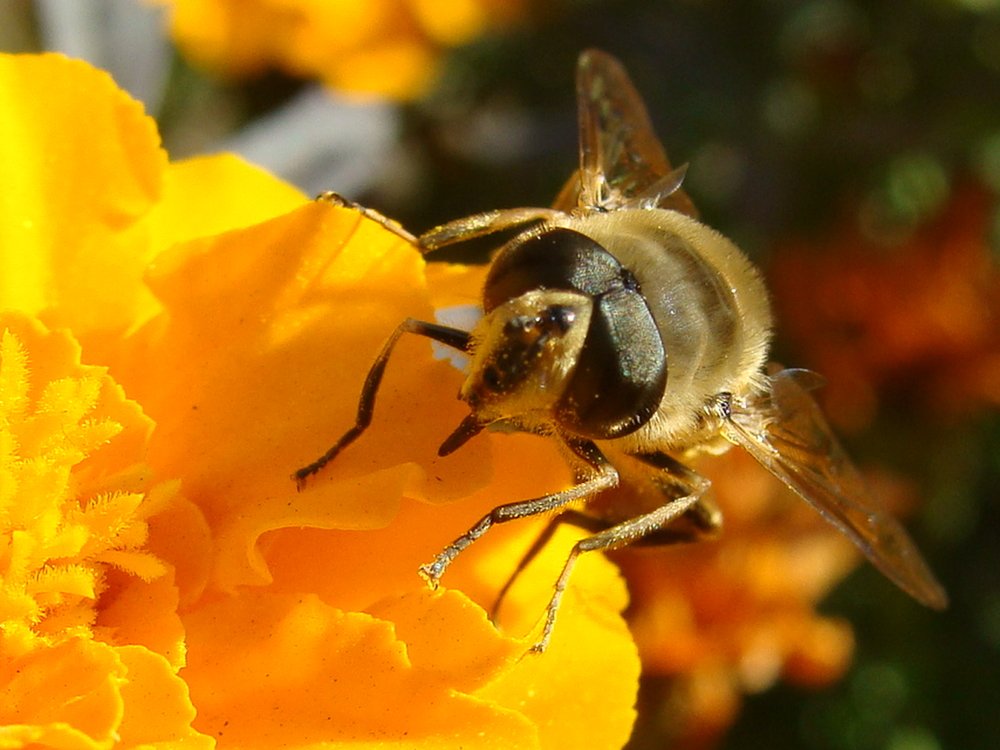 Фотография автора Павел Попов