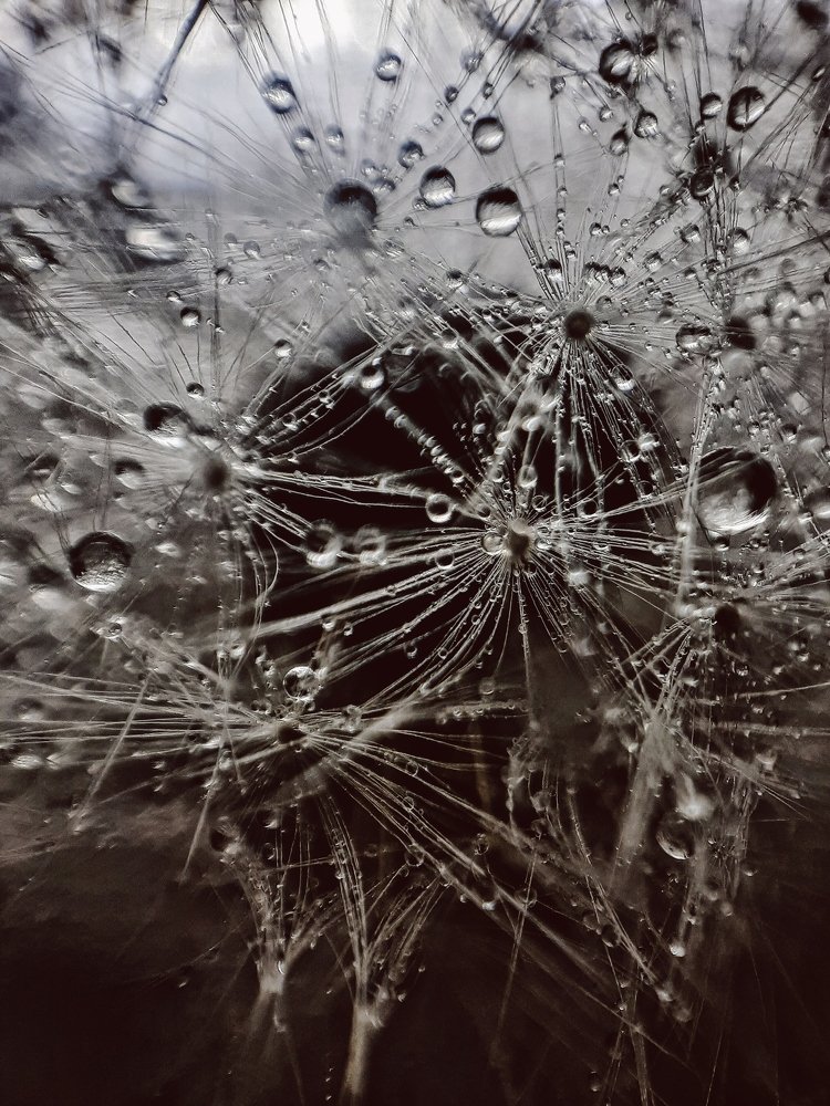 Photograph by Галина Соколова