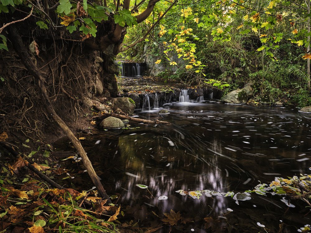 Photograph by Леонид Якутин