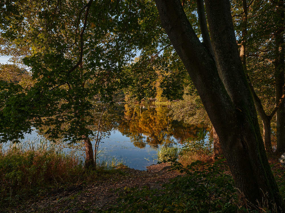 Photograph by Леонид Якутин