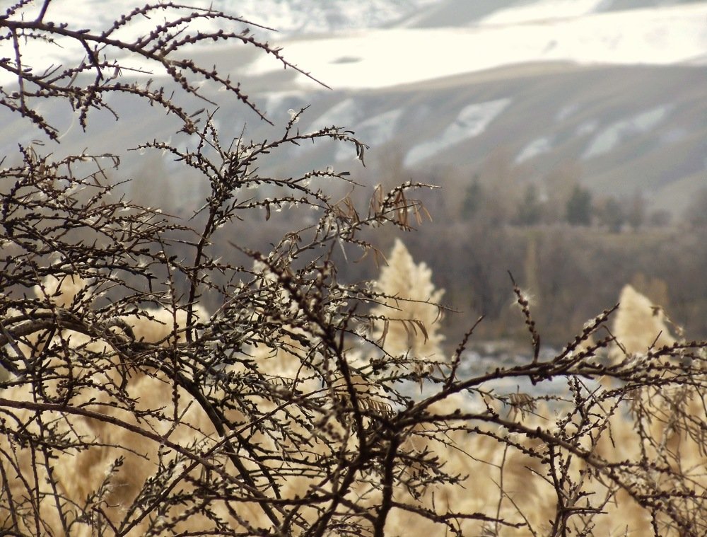 Photograph by Елена Ким