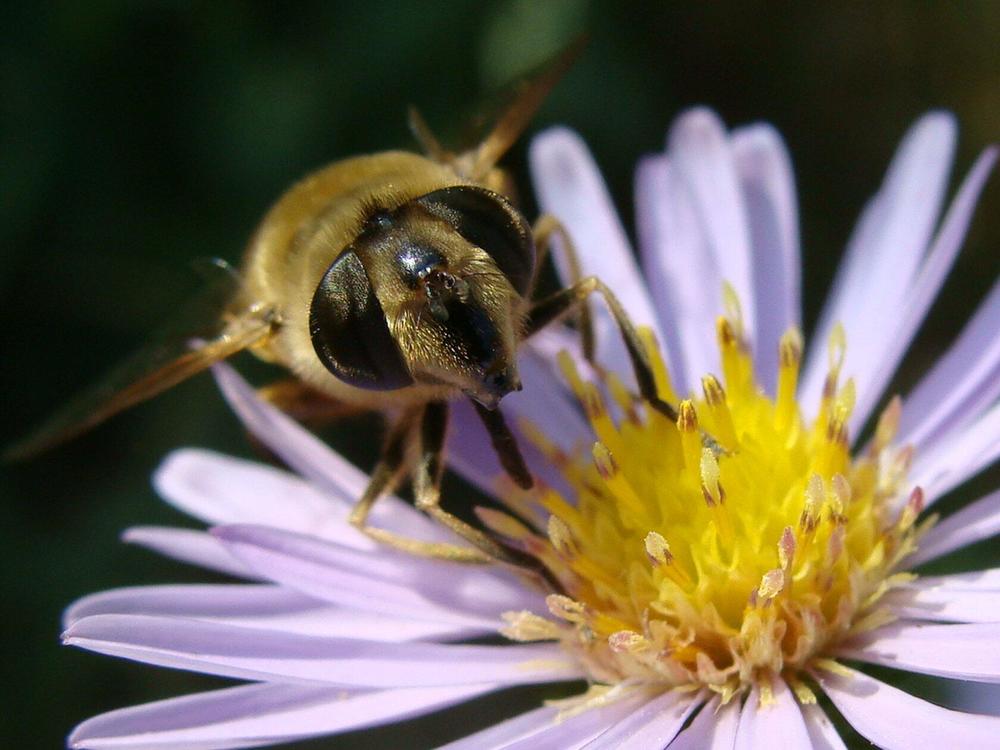 Фотография автора Павел Попов
