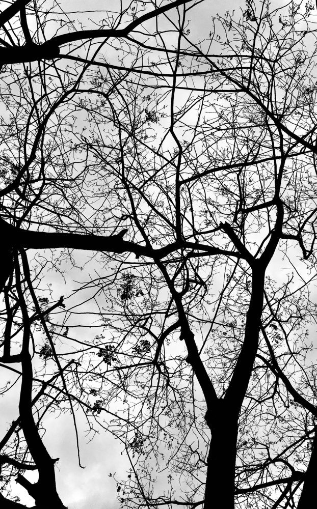 Photograph by Talha Ahmed