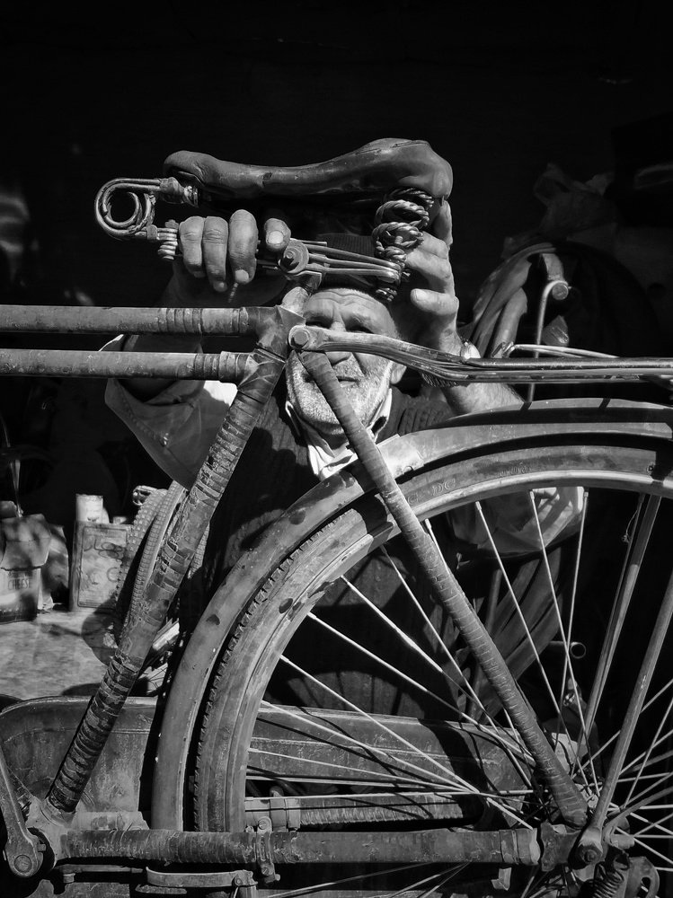 Photograph by Niloufar Bayati