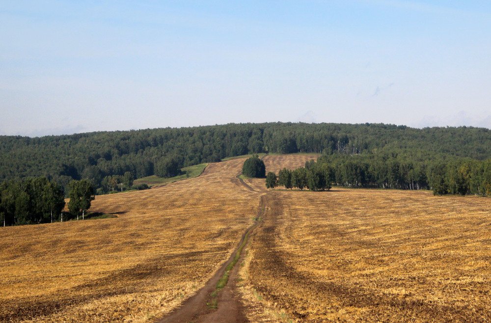 Photograph by Pavel Palkin