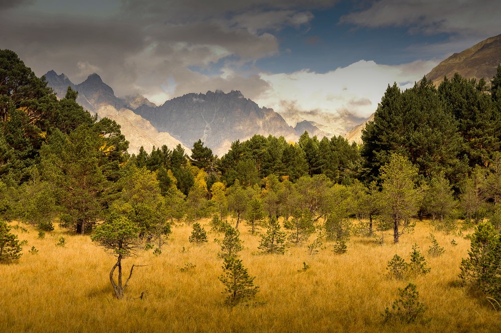 Photograph by Илья Кузнецов