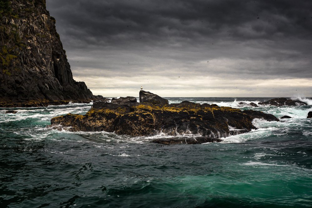 Photograph by Сергей Андреев