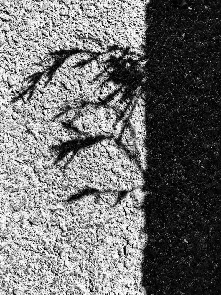 Photograph by Александр Пиленгас