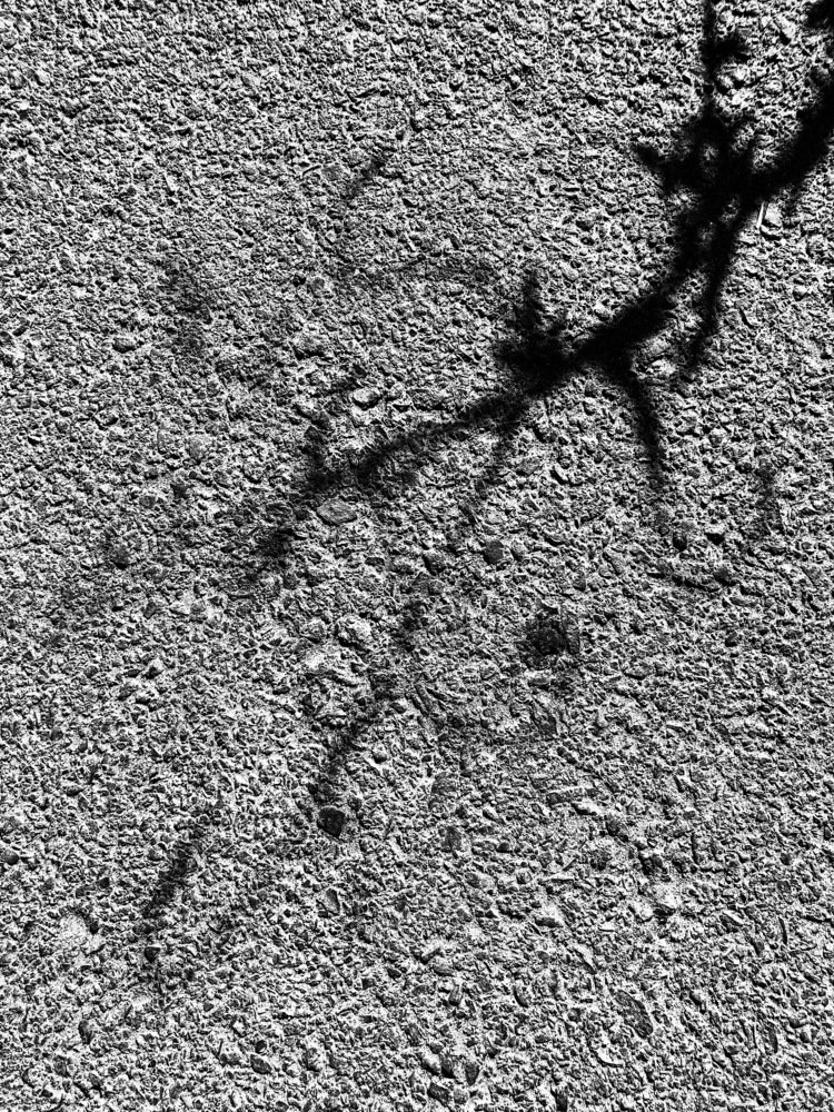 Photograph by Александр Пиленгас