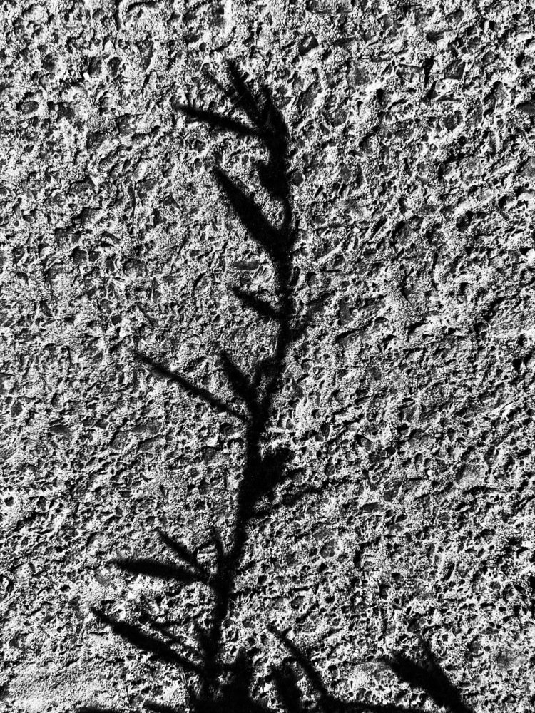 Photograph by Александр Пиленгас