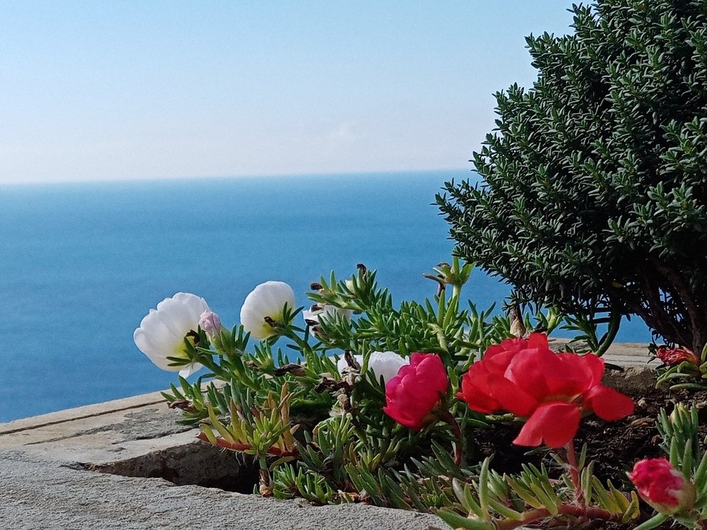 Photograph by Жанна Иванисенко