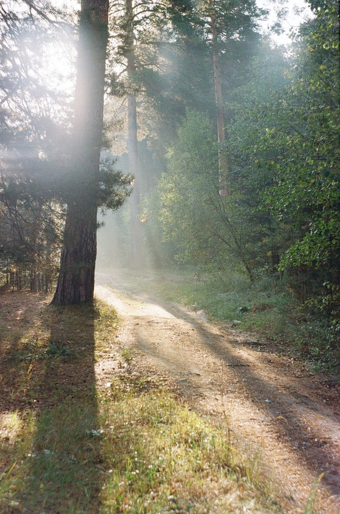 Photograph by Сергей Дудкин