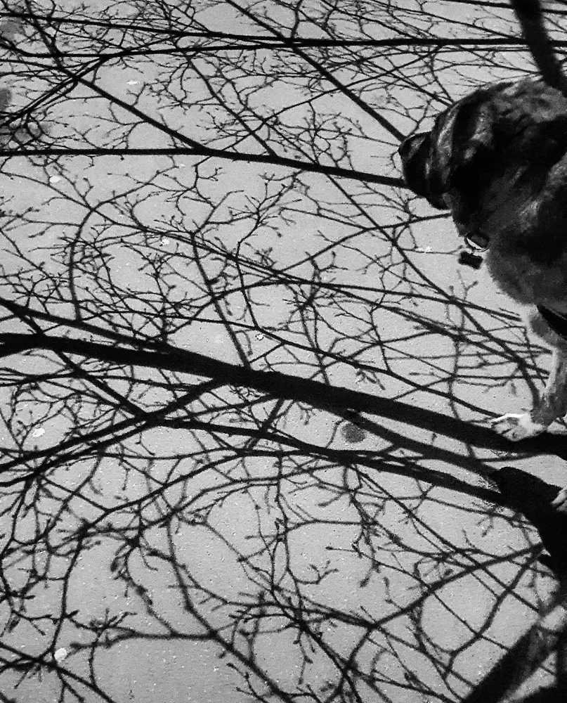 Photograph by Екатерина Маградзе