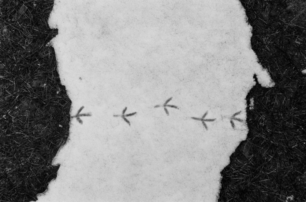 Photograph by Сергей Дудкин