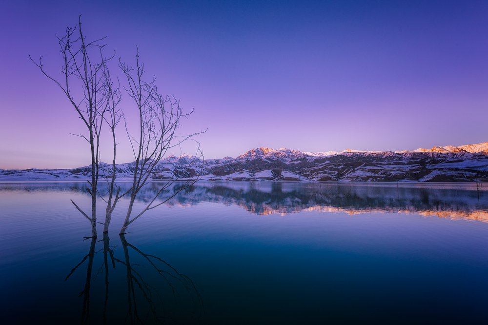 Photograph by Mahdi Sedaghi