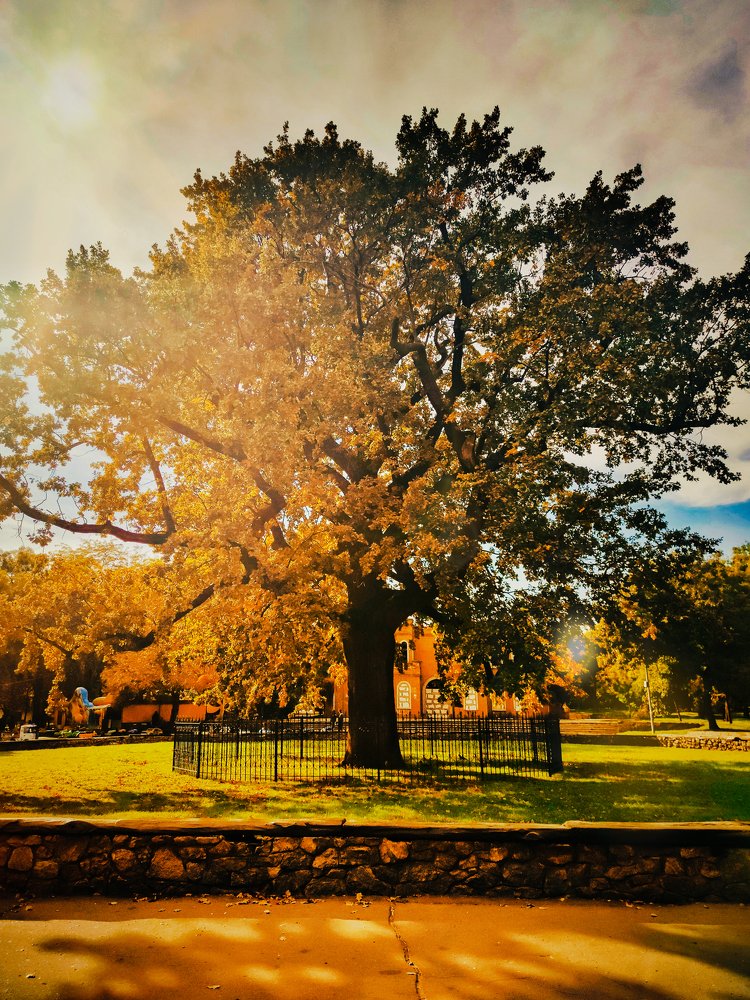 Photograph by Катерина Онацкая