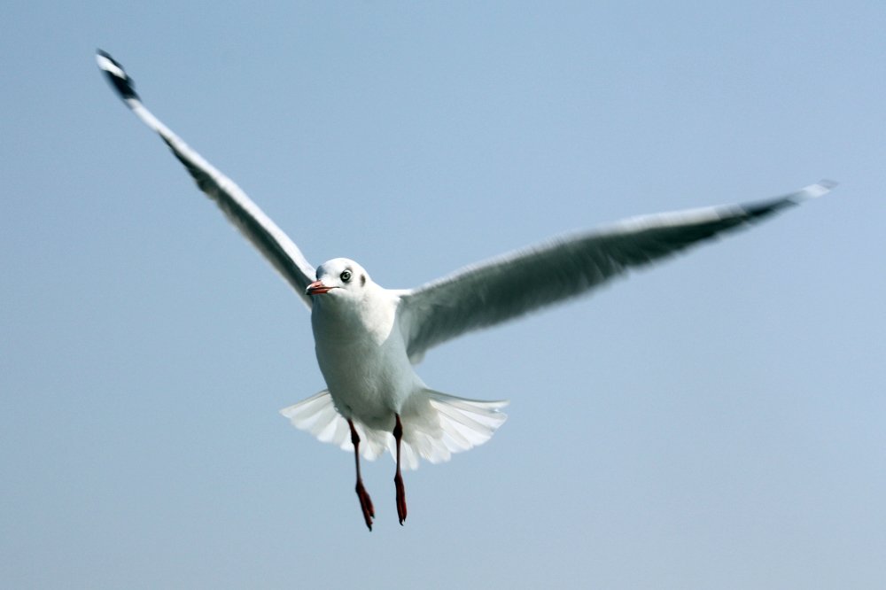 Photograph by krunal mistry