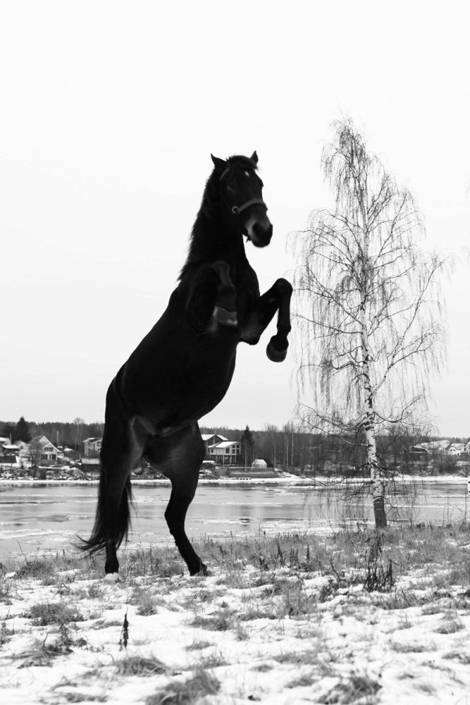 Photograph by Алина