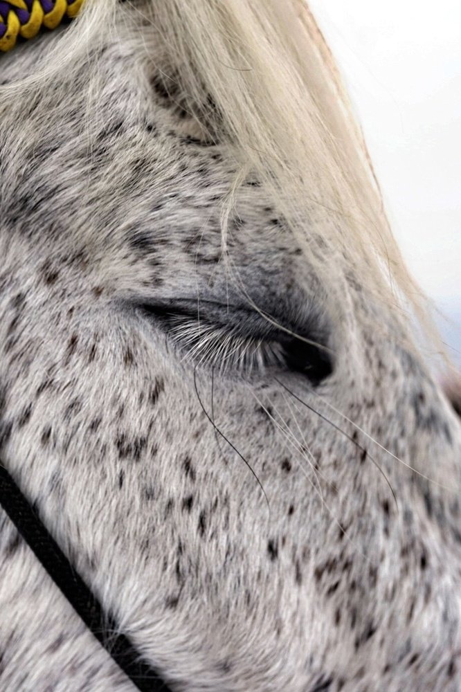 Photograph by Алина