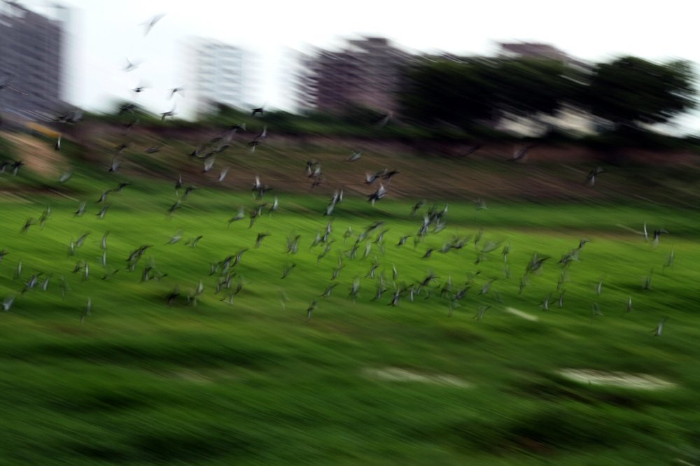 Photograph by krunal mistry