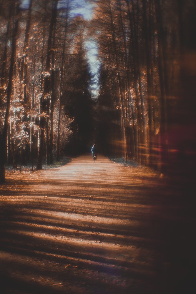 Photograph by Veronika Trubnikova