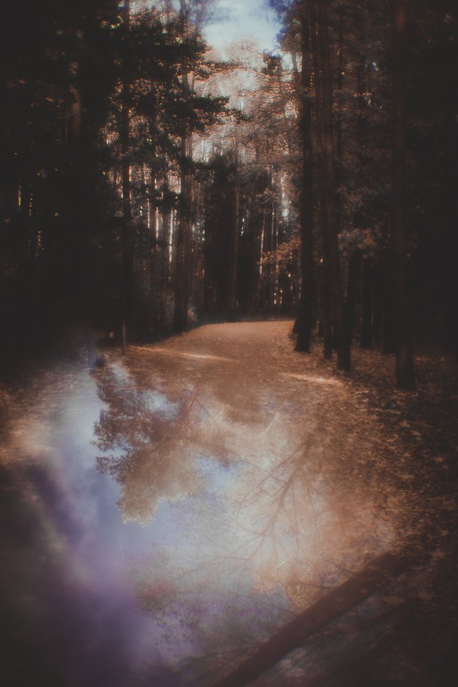 Photograph by Veronika Trubnikova