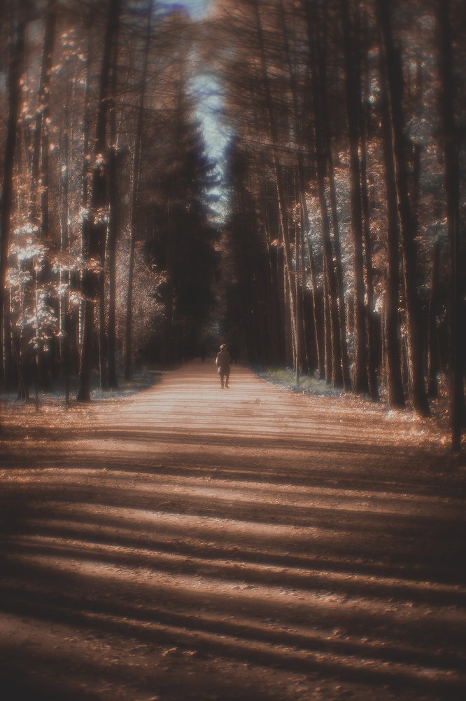 Photograph by Veronika Trubnikova