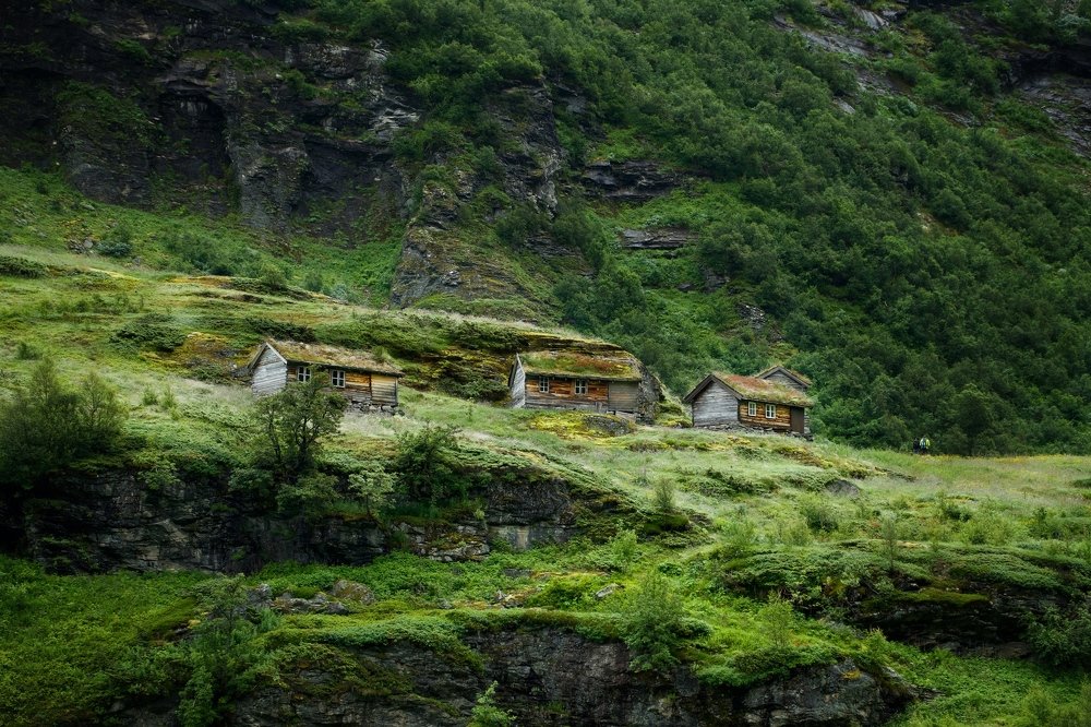 Все оттенки зеленого