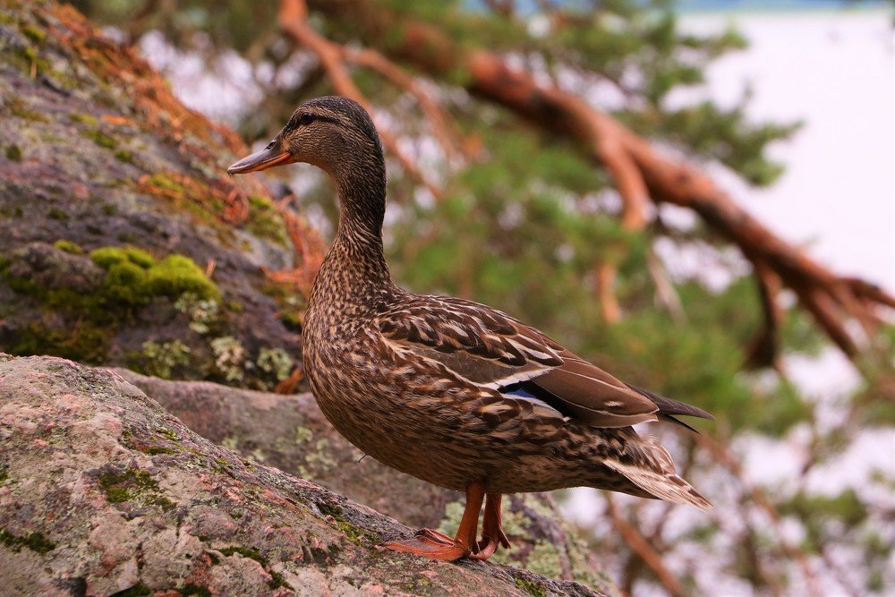 Photograph by Inga Butkovski