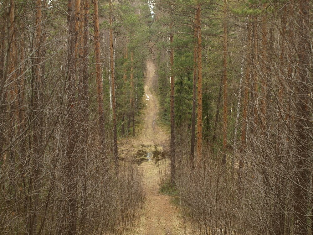 the path to the other side