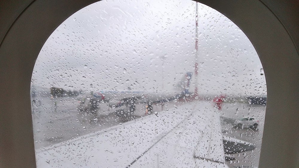 Возвращение в осень