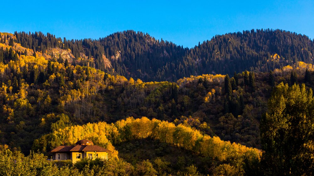 Photograph by Айзек Каниязов