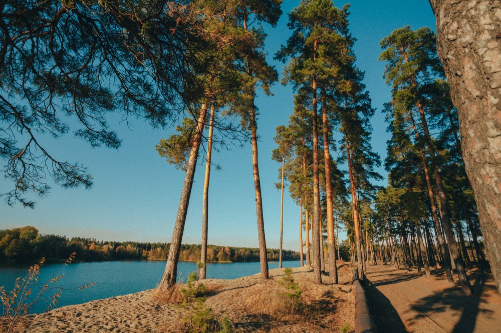 Photograph by Юлия Мальнева