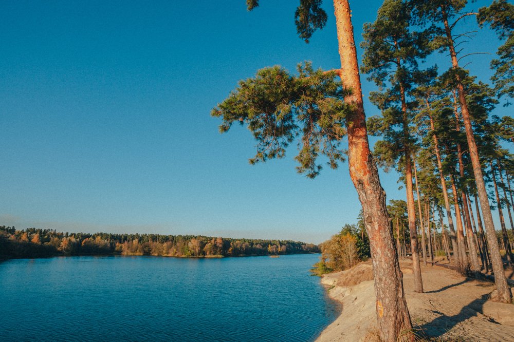 Photograph by Юлия Мальнева