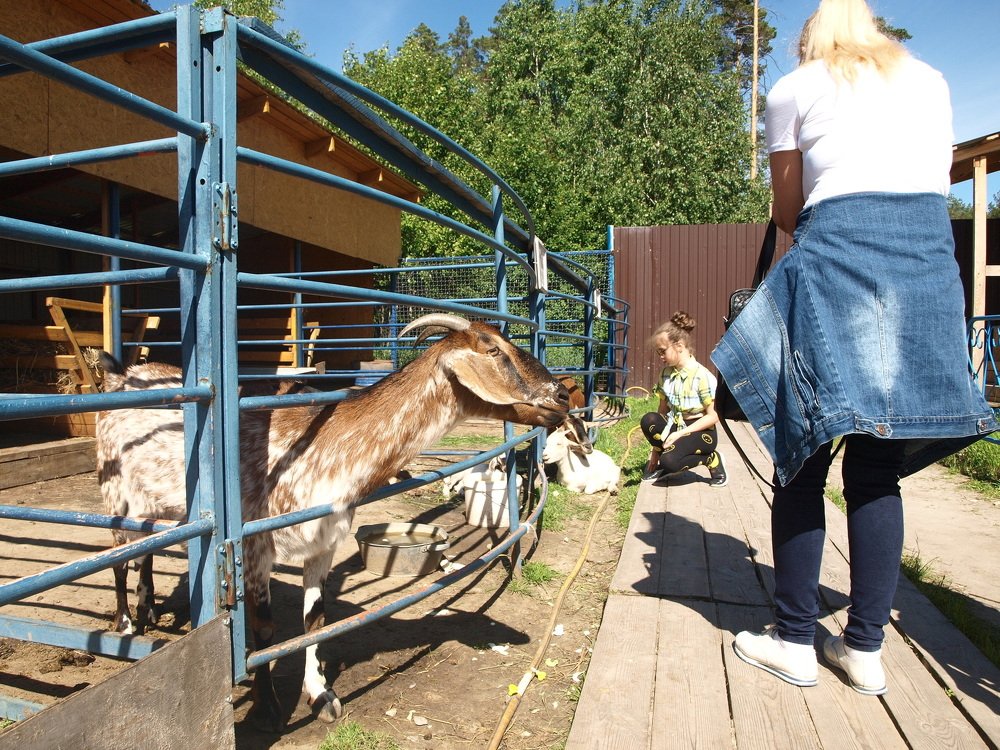 Photograph by Дмитрий Васючков