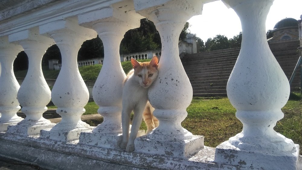 Photograph by Ирина Корнева