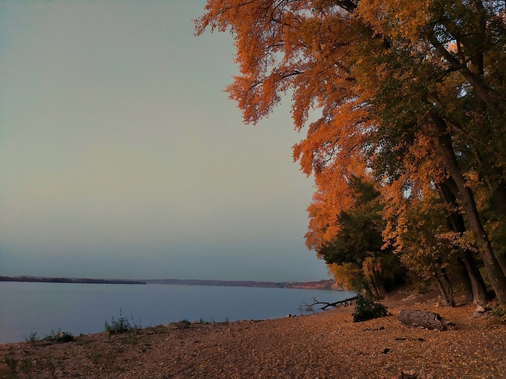 Photograph by Елена Демина