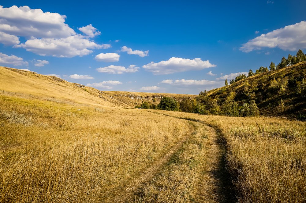 Photograph by Александр Карасев