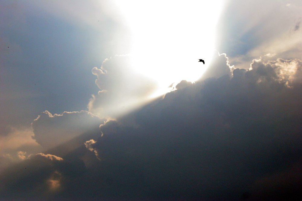 Photograph by Alexei Aedonitsky