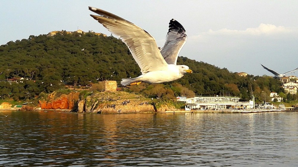 Photograph by Тетяна Пугач