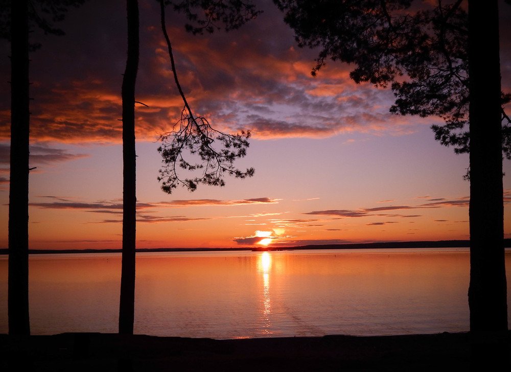 Photograph by Диана Бородзе