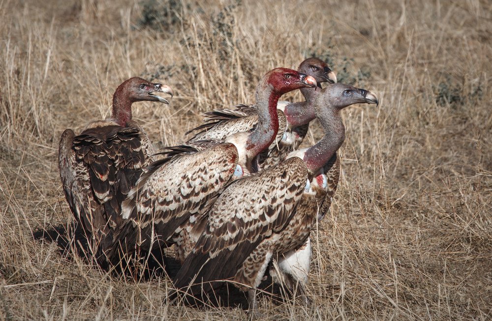 Photograph by Iris Lara