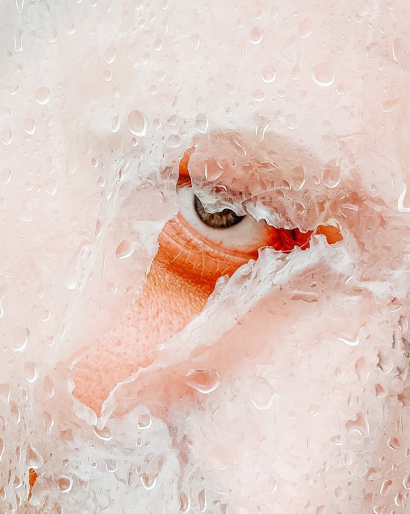 Photograph by Марат Болатханов