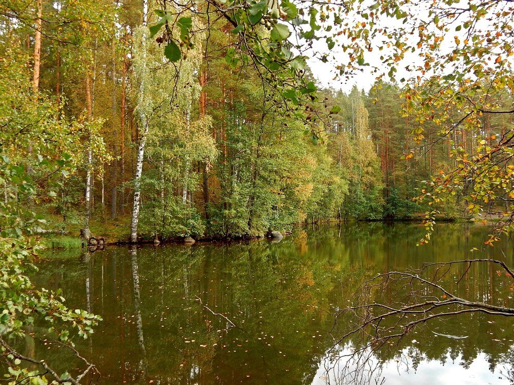 Photograph by Елена Гуляева