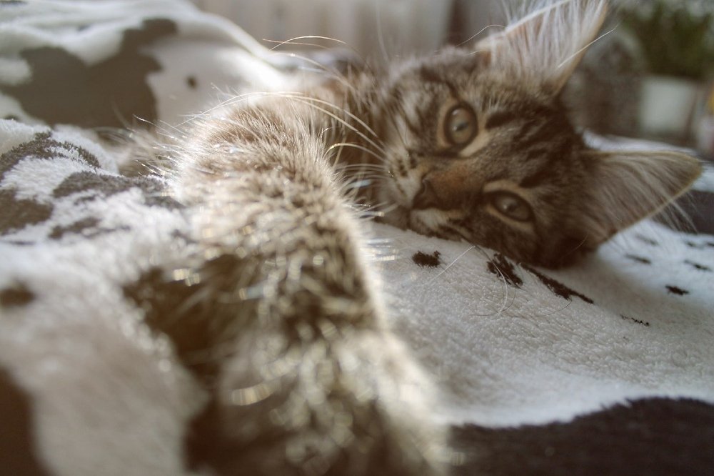 Photograph by Екатерина Хабарова